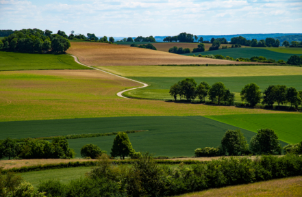 Bedrijf kopen Limburg