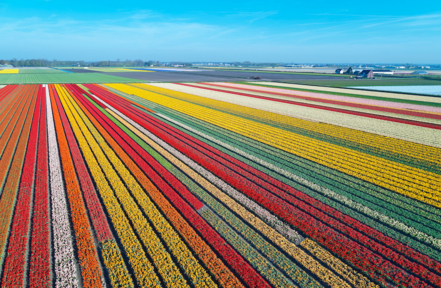 Bedrijf kopen Zuid-Holland